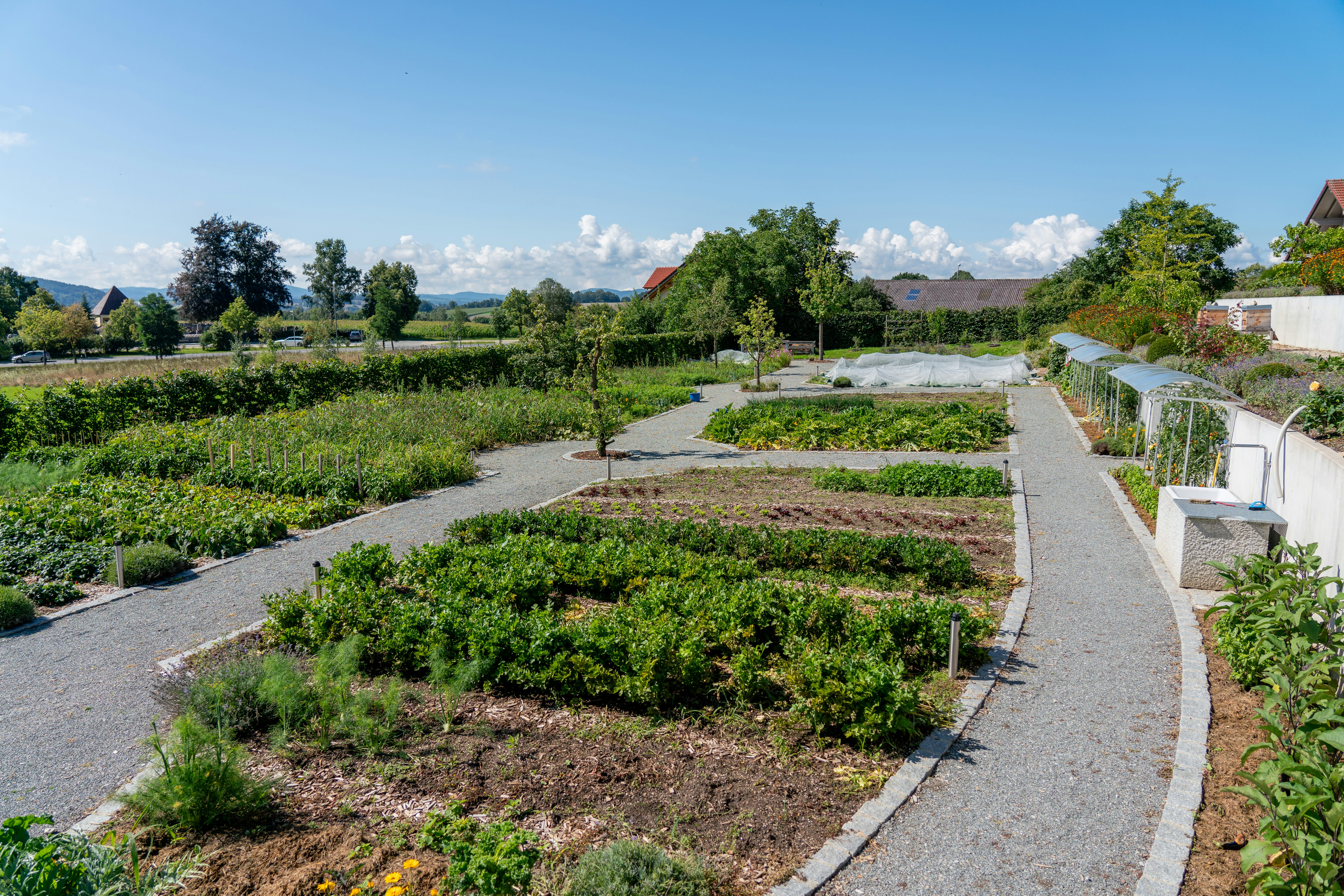Der hauseigene Bio-Gemüsegarten am Hauptstandort der Josef Rädlinger Unternehmensgruppe in Cham