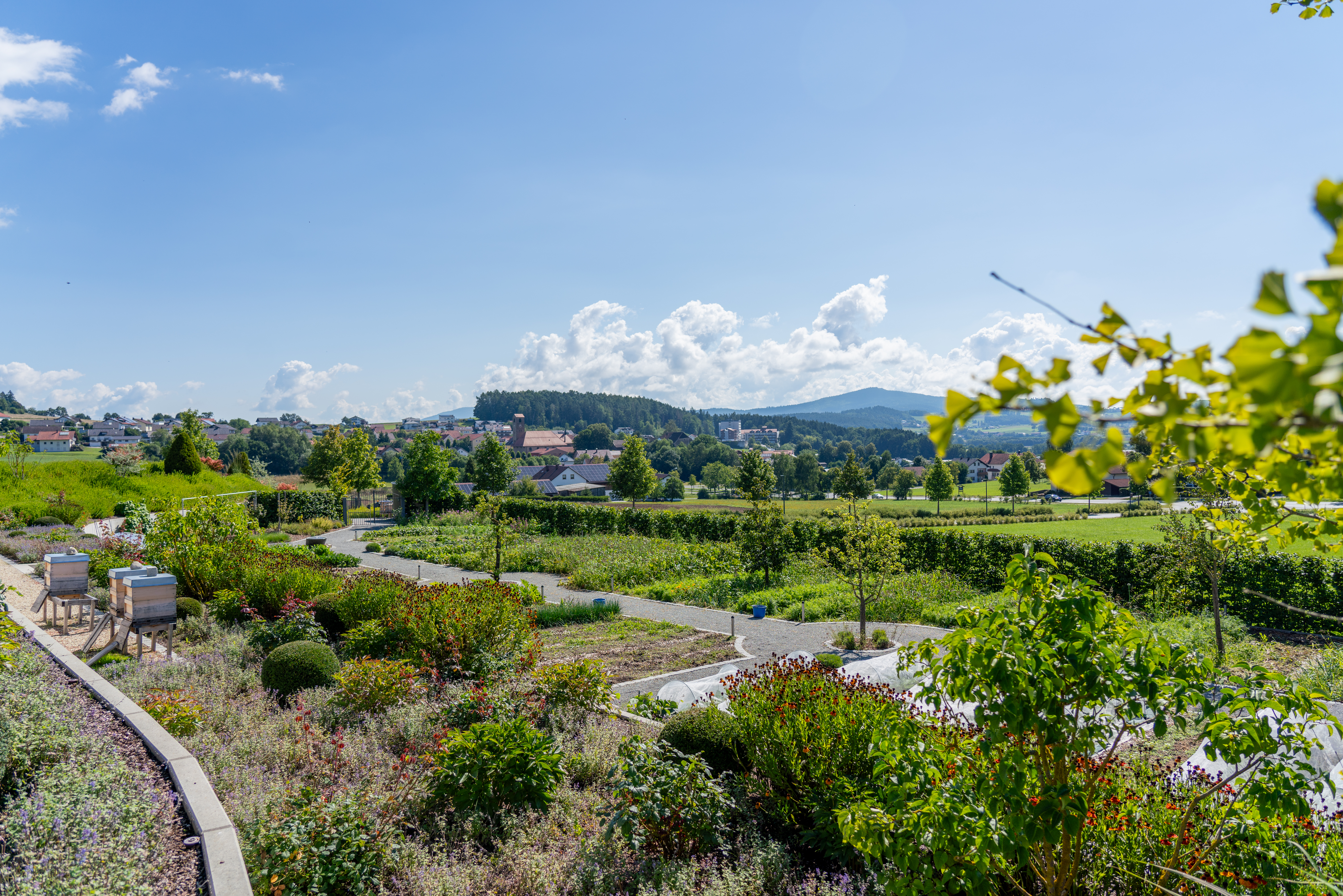Der hauseigene Gemüsegarten am Hauptstandort der Josef Rädlinger Unternehmensgruppe in Cham mit Blick auf den Bayerischen Wald