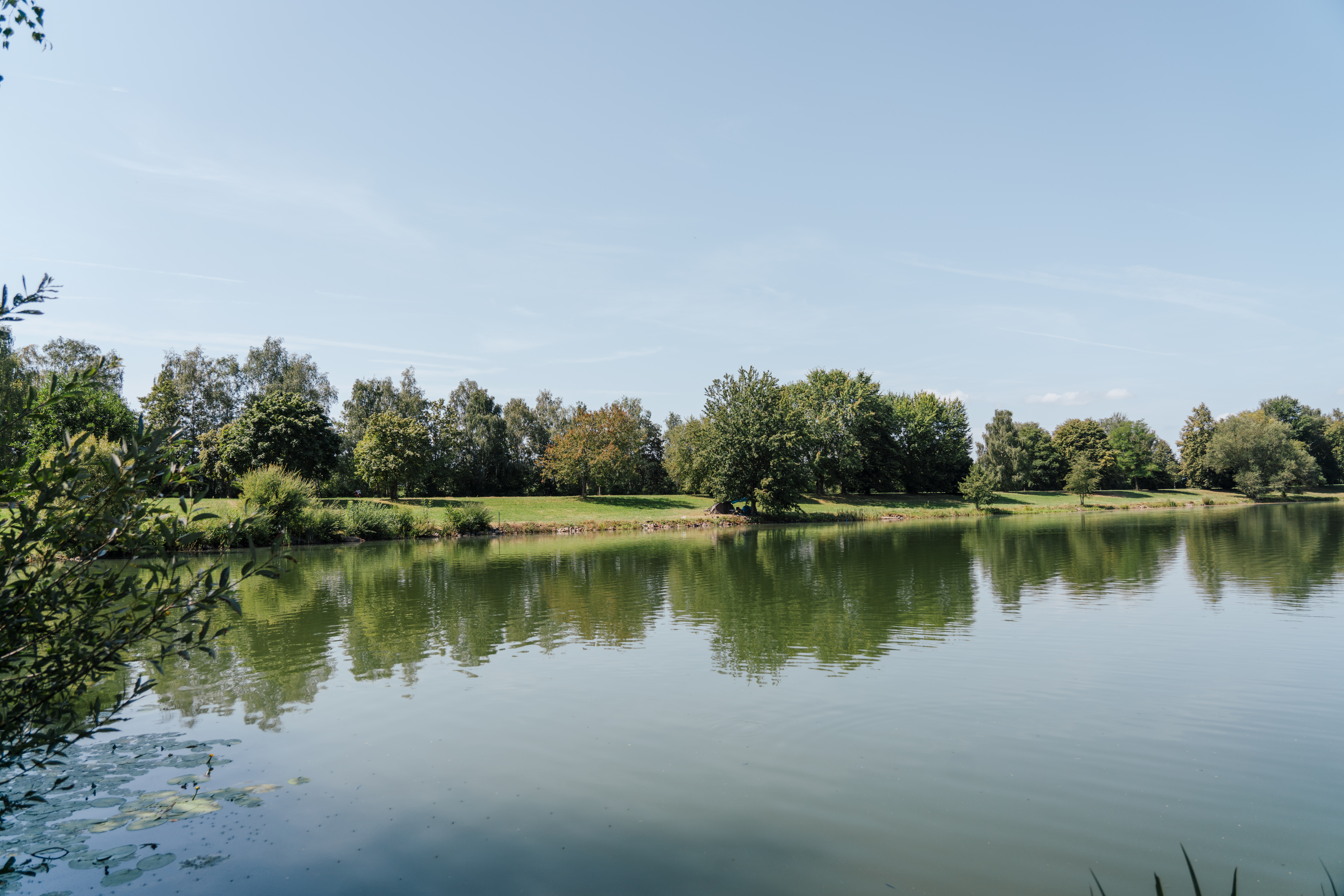 Aufnahme vom Satzdorfer See, umgeben von Wiese, Bäumen und Sträuchern