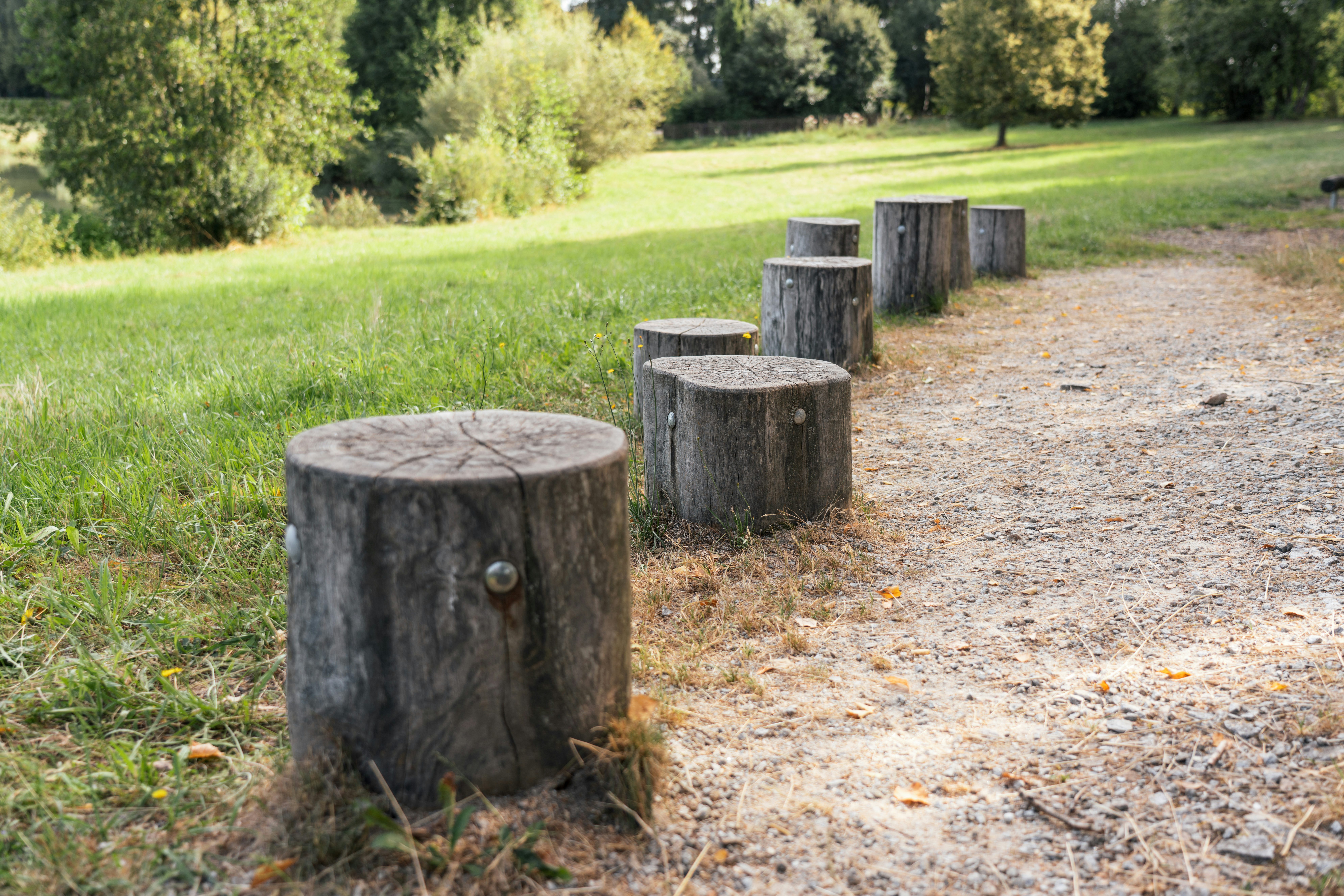 Platz der Bewegung am Satzdorfer See: Reihe von Holzstümpfen, umgeben von Natur
