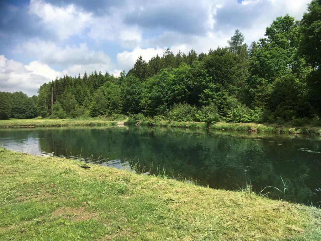 Aufnahme eines Fischweiher mit Wald im Hintergrund