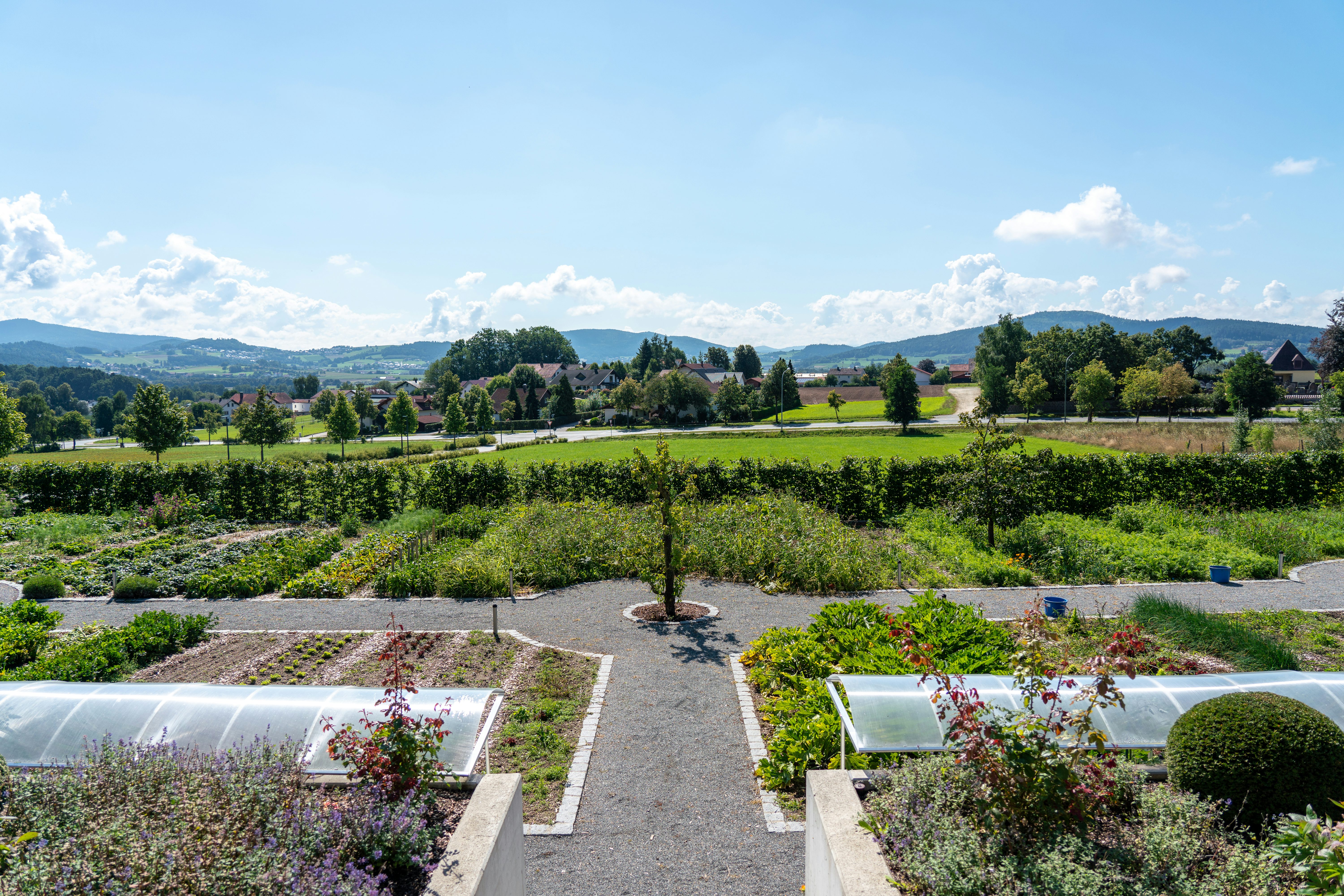 Gemüsegarten am Standort in Cham mit Blick auf den Bayerischen Wald