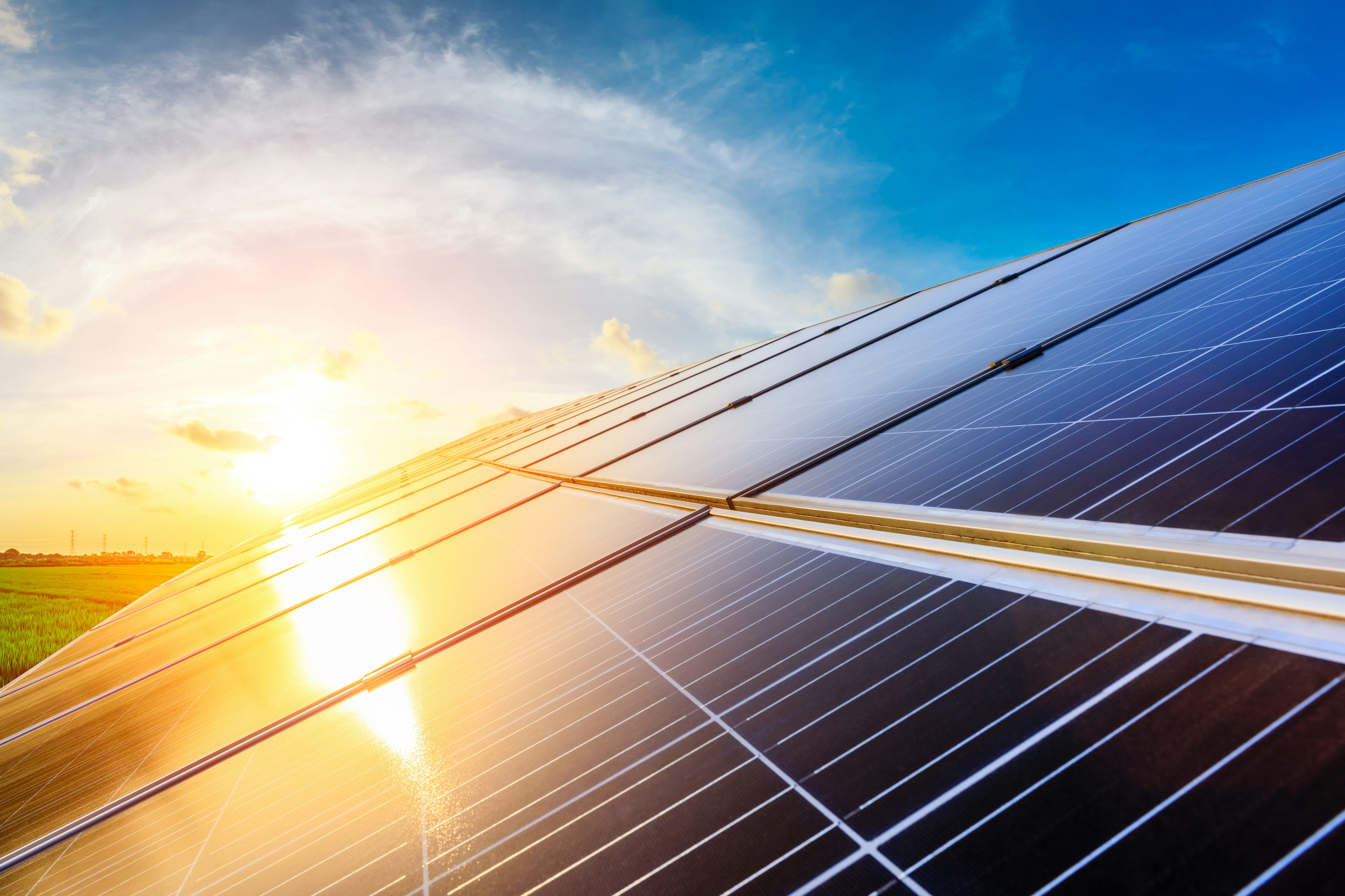 PV-Module auf einer Wiese, auf Sonne einstrahlt, Detailaufnahme der PV-Panele