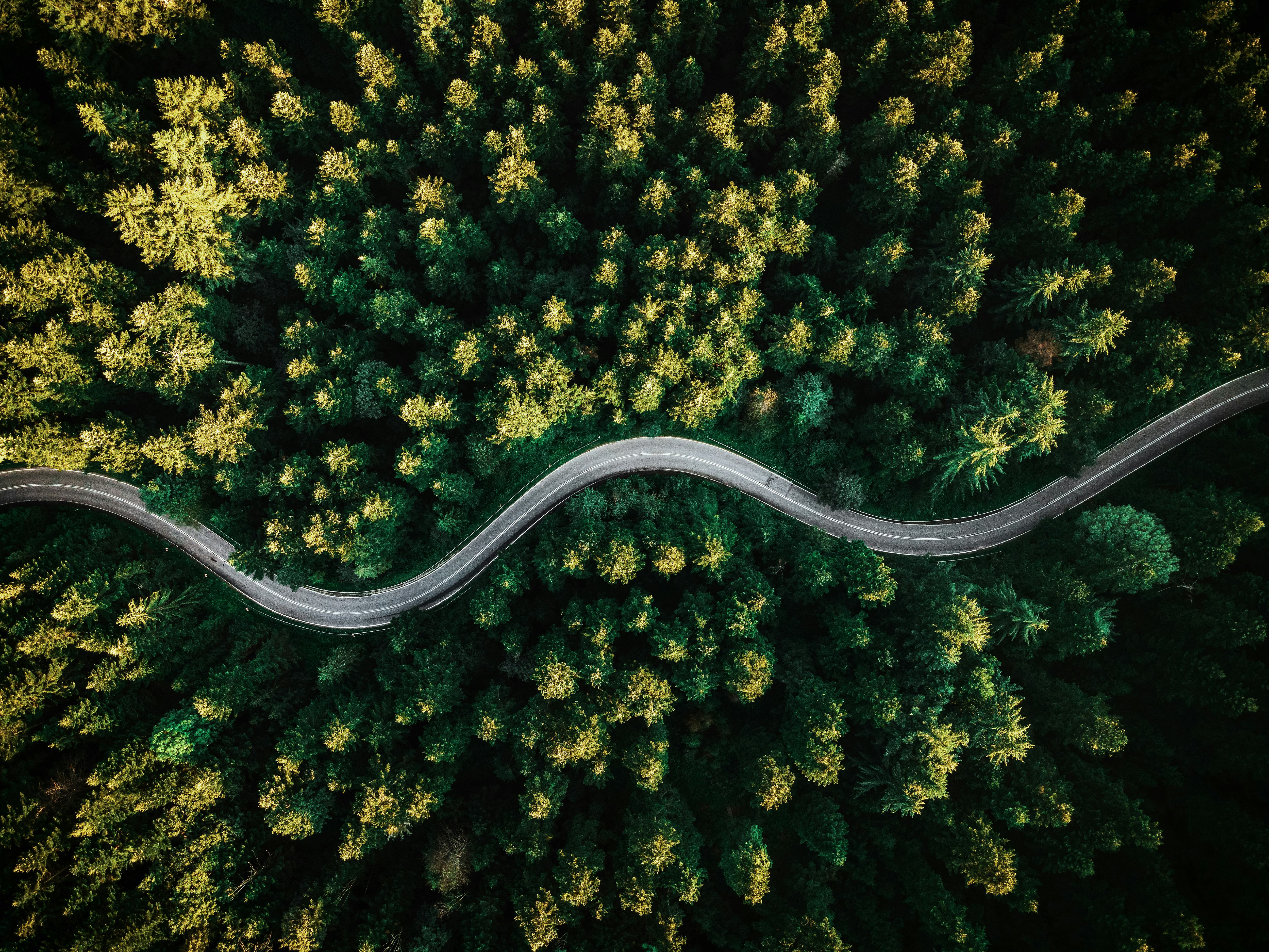 Nachhaltigkeit bei Rädlinger: Drohnenaufnahme eines Waldes von oben, durch den eine asphaltierte Straßen verläuft